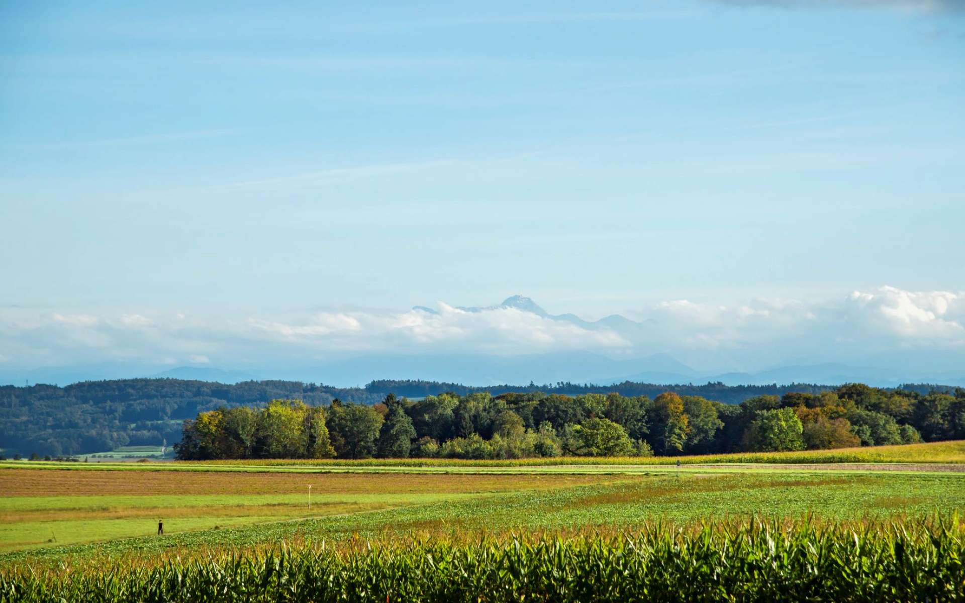 Golfpanorama 2175