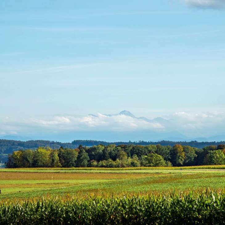 Golfpanorama 2175