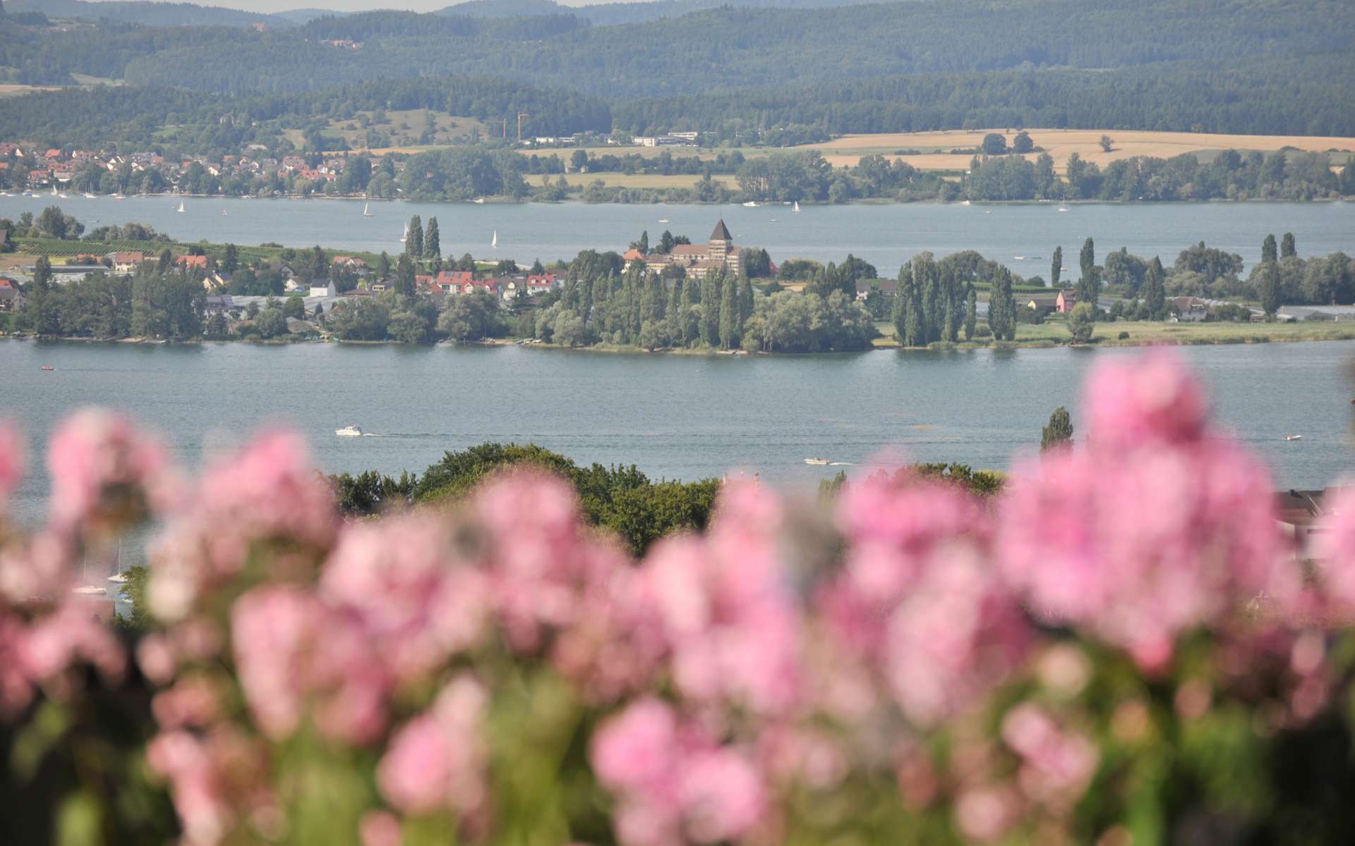 Ermatingen Aussicht Insel Reichenau