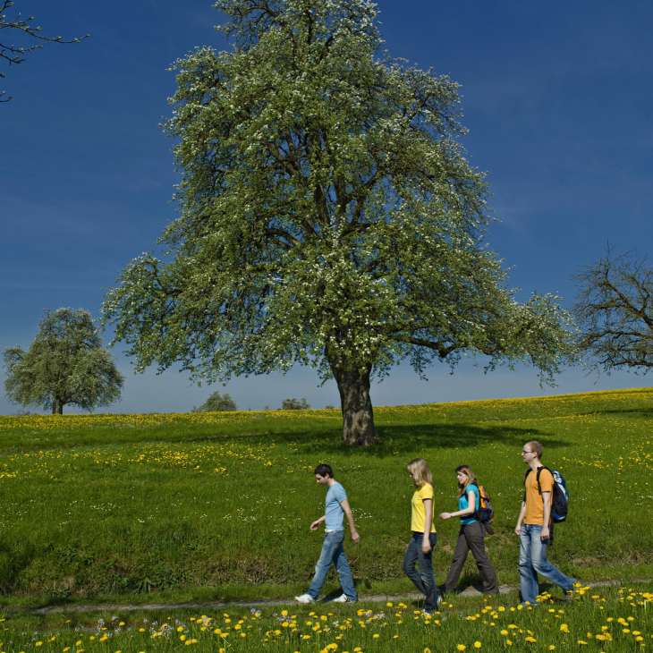 Steinebrunn Bluest Wandern