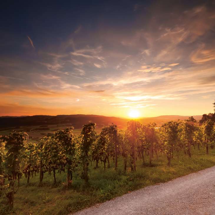 Weinfelden Ottenberg Sonnenuntergang